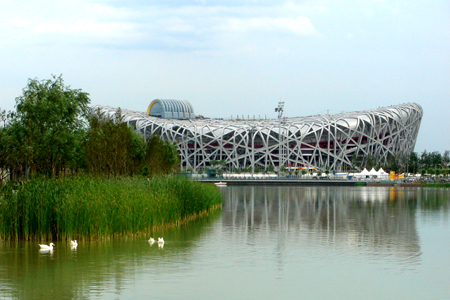 鸟巢 北京世纪坛医院 张瑞华  ;